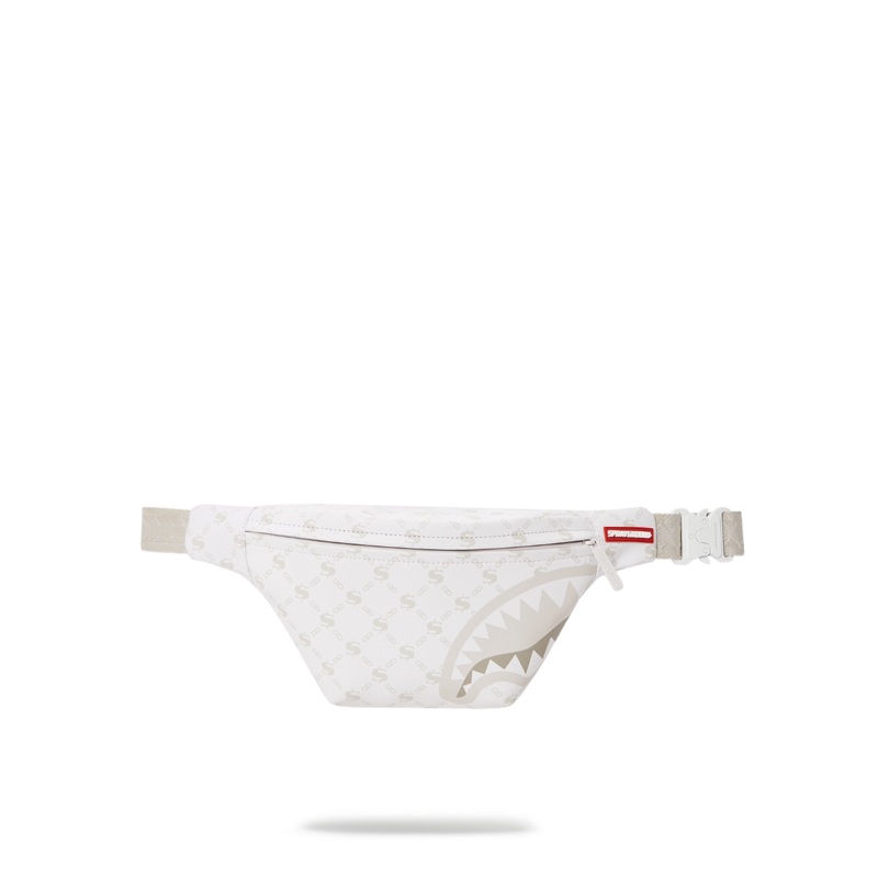 MONEY PATTERN POWDER SAVVY CROSSBODY