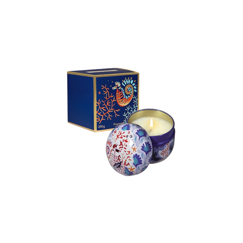 Candle  Jfb202 Menthe-Basilic