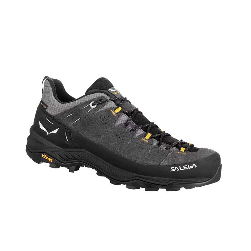 Alp Trainer 2 GTX