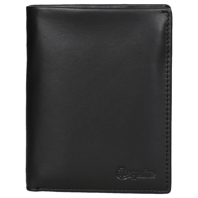Esquire New Silk - Geldbrse 11cc 12 cm CARDSAFE (black)