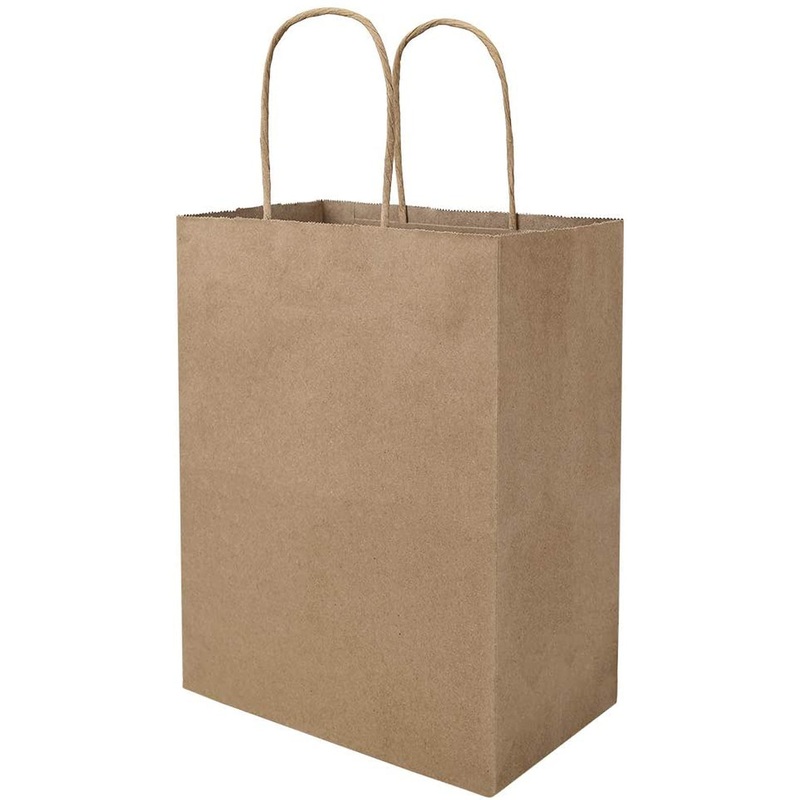 Bagmad 100 Pack 8X4.75X10 Inch Plain Medium Paper Bags with Handles Bulk, Brown Kraft Craft Gift Bags, Grocery Shopping Retail Birthday Party Favors Wedding Sacks (Natural Brown, 100Pcs)
