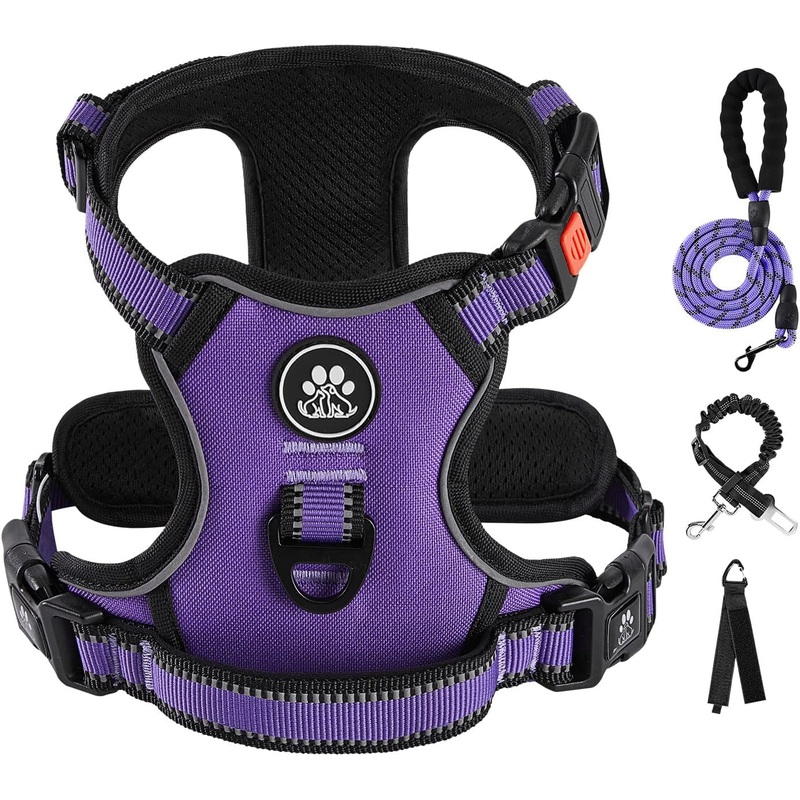 IVY&LANE No Pull Dog Harness for Medium Dogs, Dog Vest Harness with Leash, Safety Belt and Storage Strap, Fully Adjustable Harness, 360 Reflective Strip, Soft Handle (Purple, M)